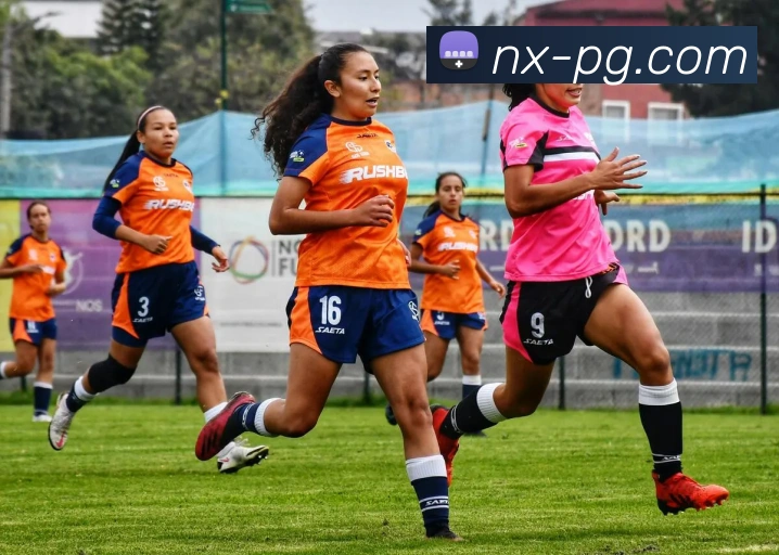 辅助工具 辅助工具